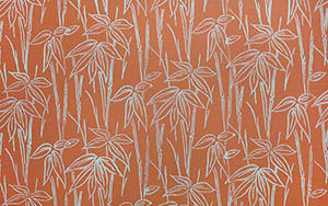 Desenli Boya uygulamları