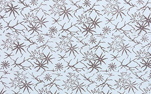 Desenli Boya uygulamları