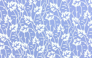 Desenli Boya uygulamları